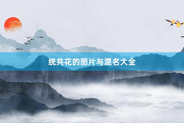 统共花的图片与混名大全